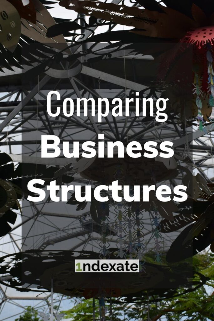 Comparing Business Structures (pin). Photo credit © L Rowe 2020