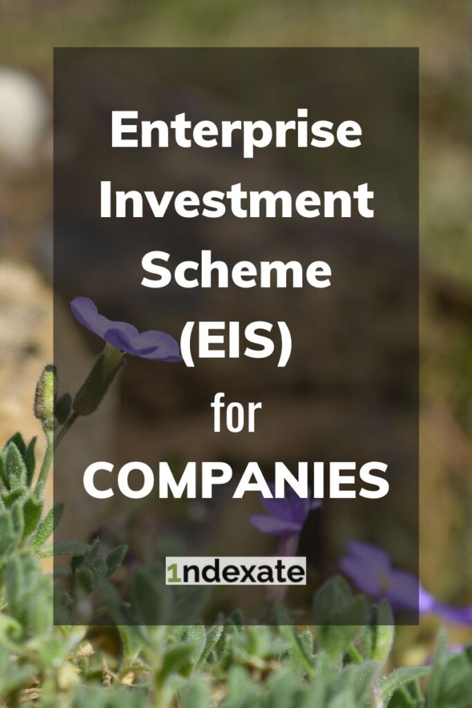 Enterprise Investment Scheme (EIS) for Companies (pin). Photo credit © L Rowe 2016