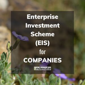 Enterprise Investment Scheme (EIS) for Companies (title). Photo credit © L Rowe 2016