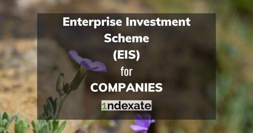 Enterprise Investment Scheme (EIS) for Companies (wide). Photo credit © L Rowe 2016