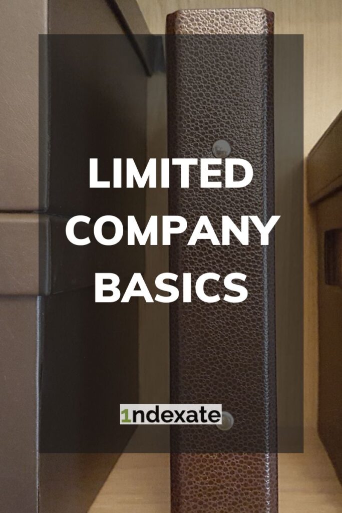 Limited Company Basics (pin). Photo credit © L Rowe 2015